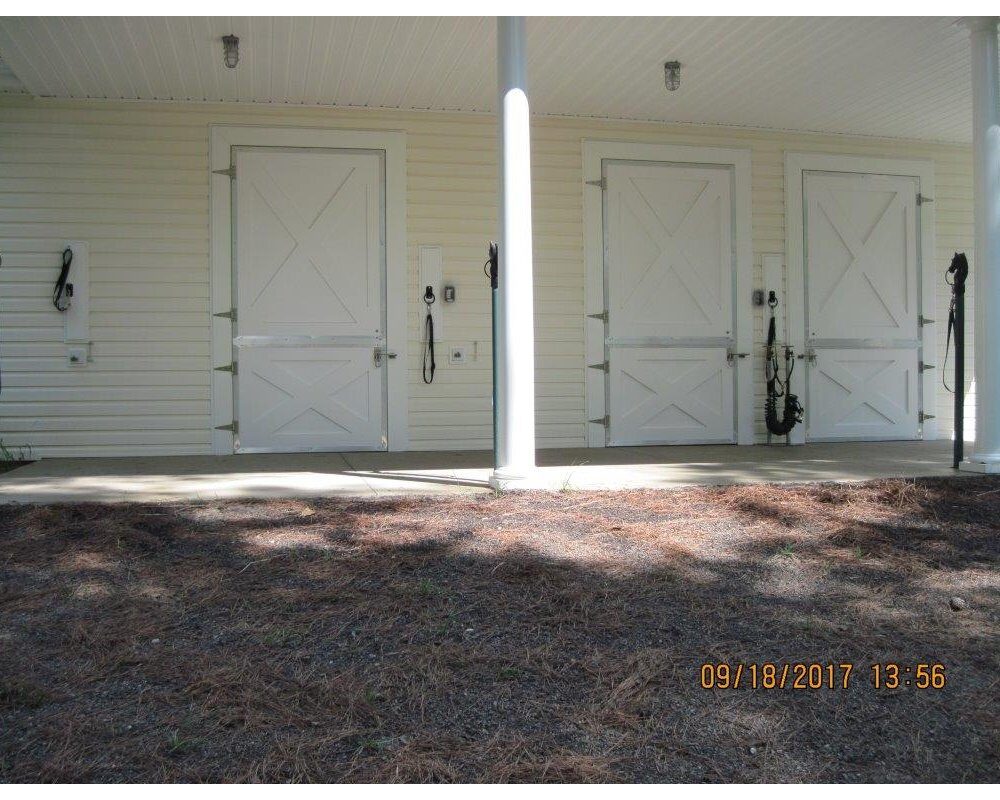 Custom Miniature Horse Double Dutch Barn Door