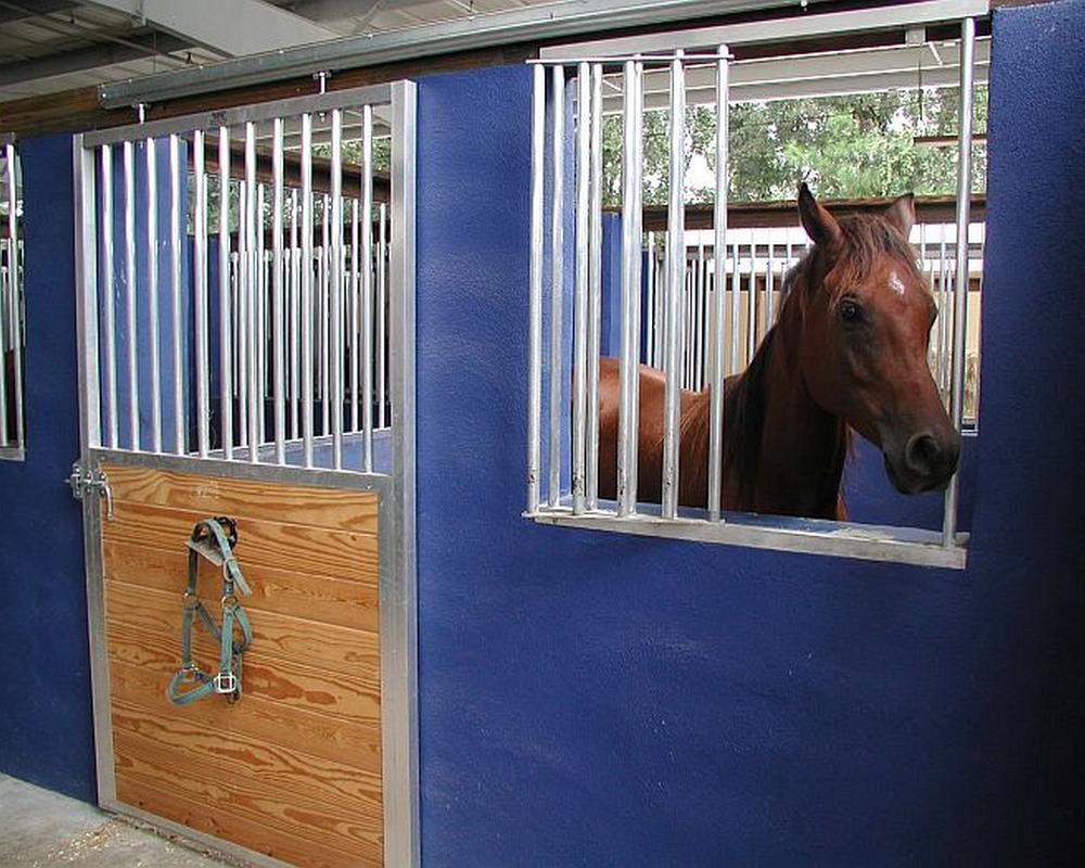 Horse looking through removable lift out panel in stall front grill.
