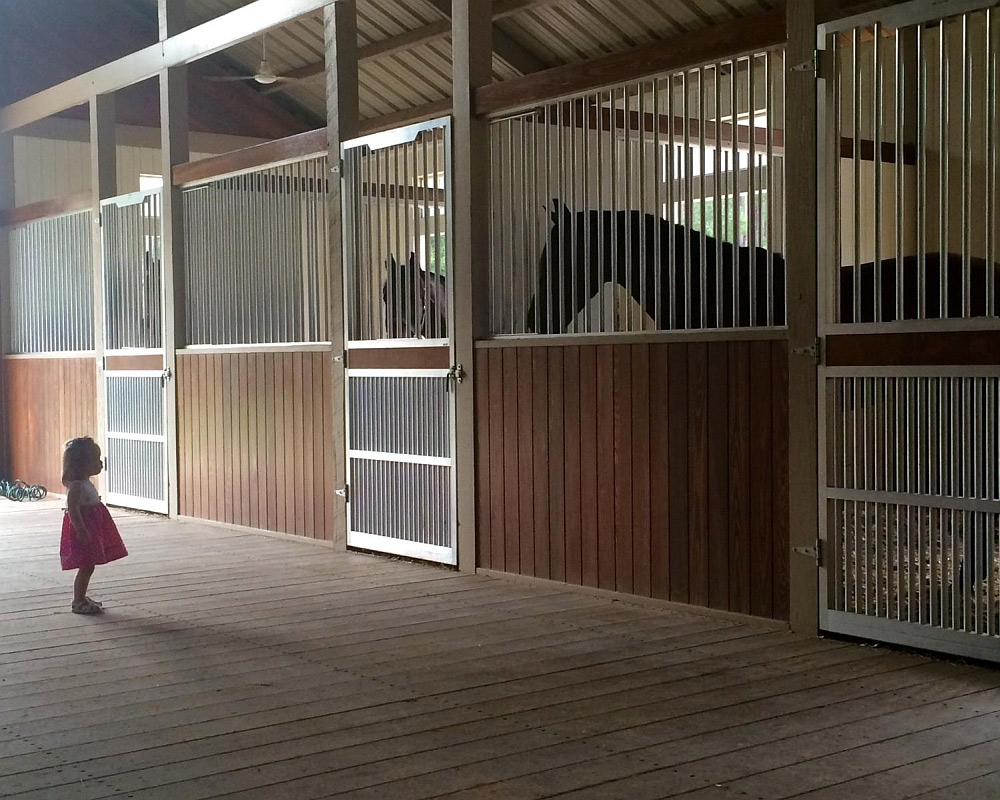 Brennan horse stable with customizes hinged doors with name plates.