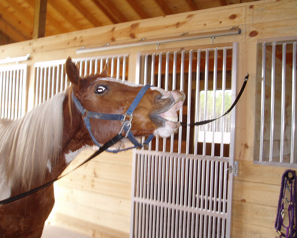 Cahoon horse barn, featuring coolbreeze doors.