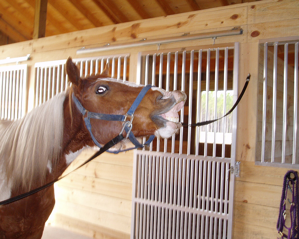 Cahoon horse barn, featuring coolbreeze doors.
