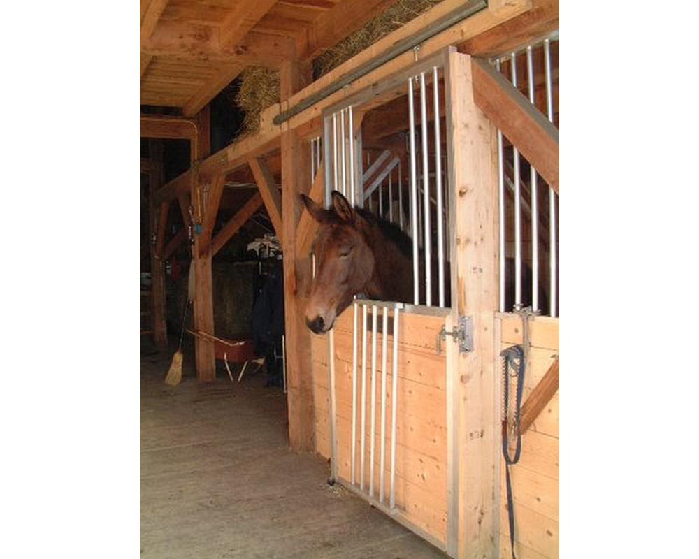 Fold down panel in aluminum sliding horse stall door.