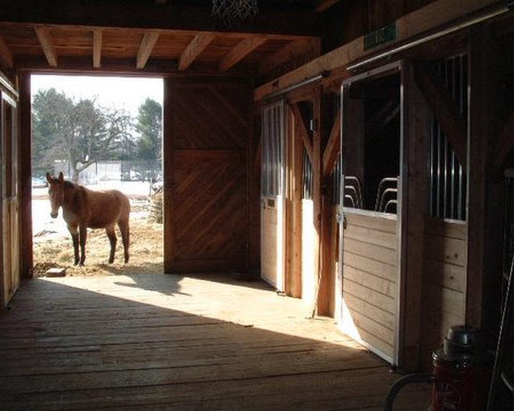 Gossip top sliding horse stall door.