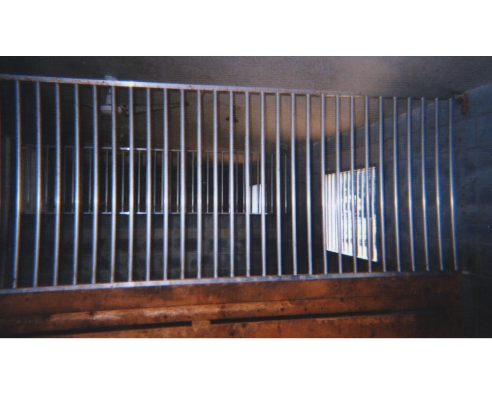 Horse stall dividing partition grills.