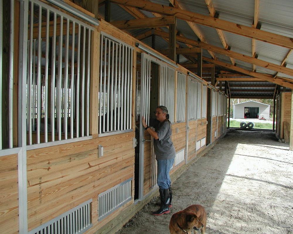 God's Gift horse farm stall fronts.