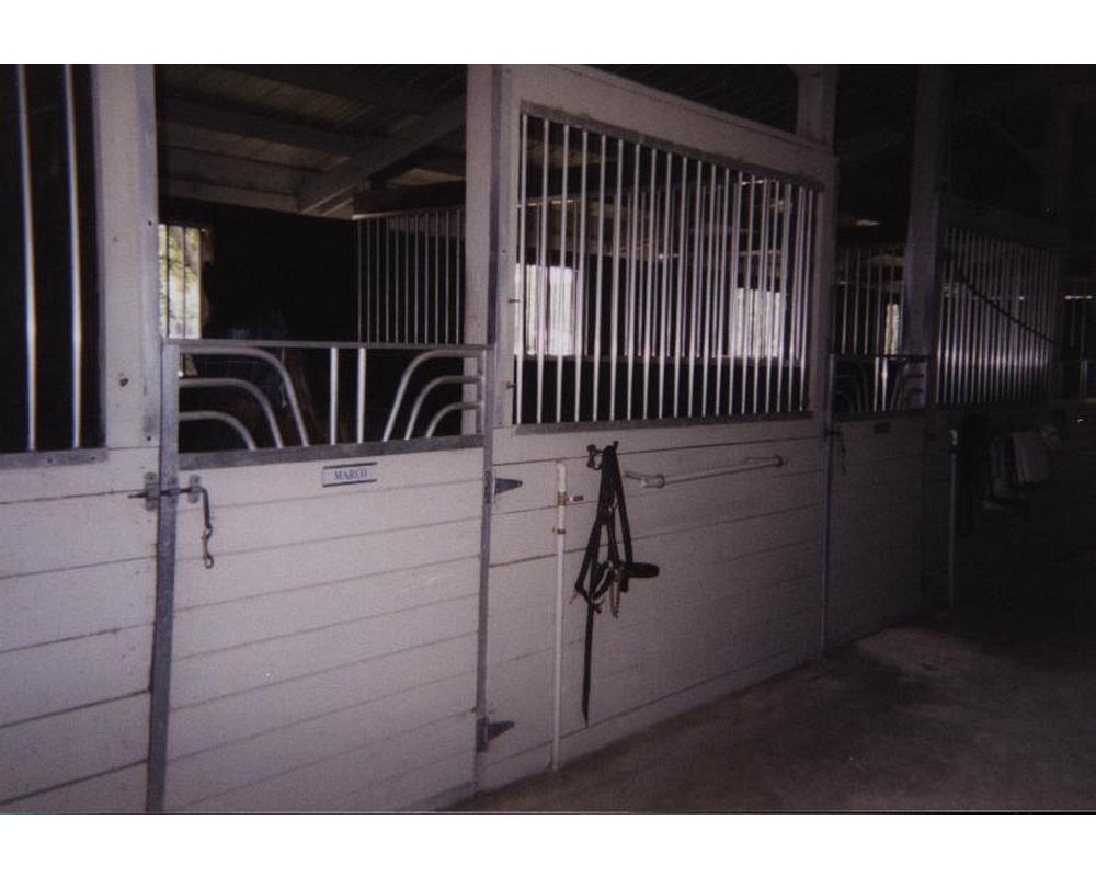 Horse stall front with aluminum grills.