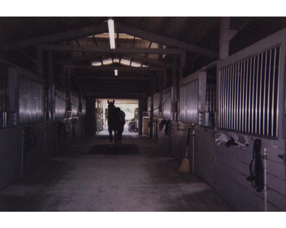 Horse stable aisle way, featuring aluminum horse stall products.