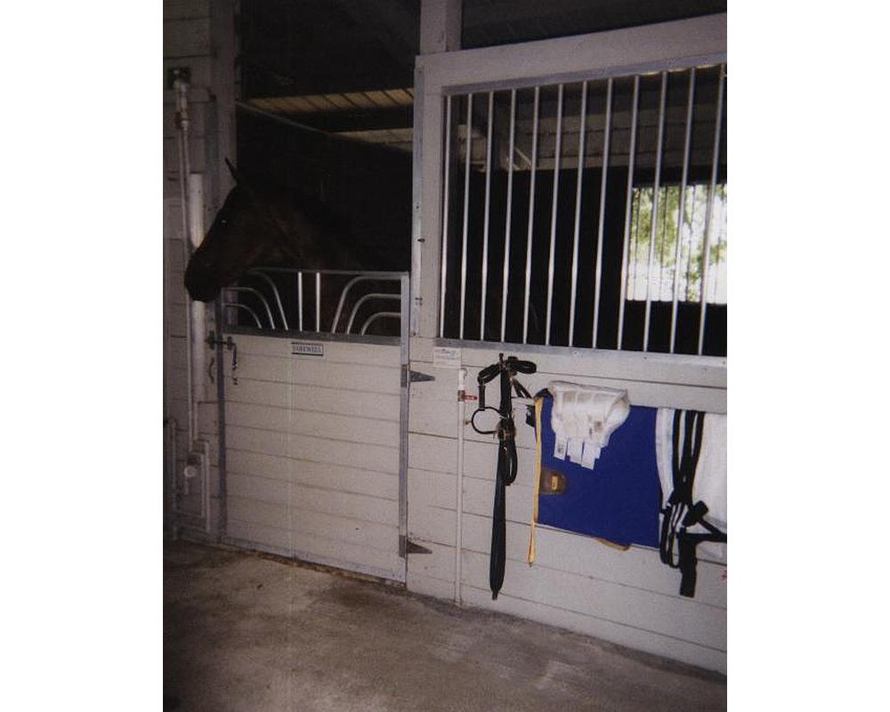 Aluminum and lumber horse stall front.