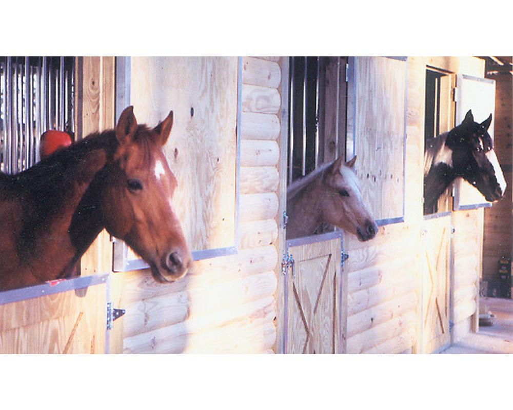 Double dutch doors allow horses to look out into field.