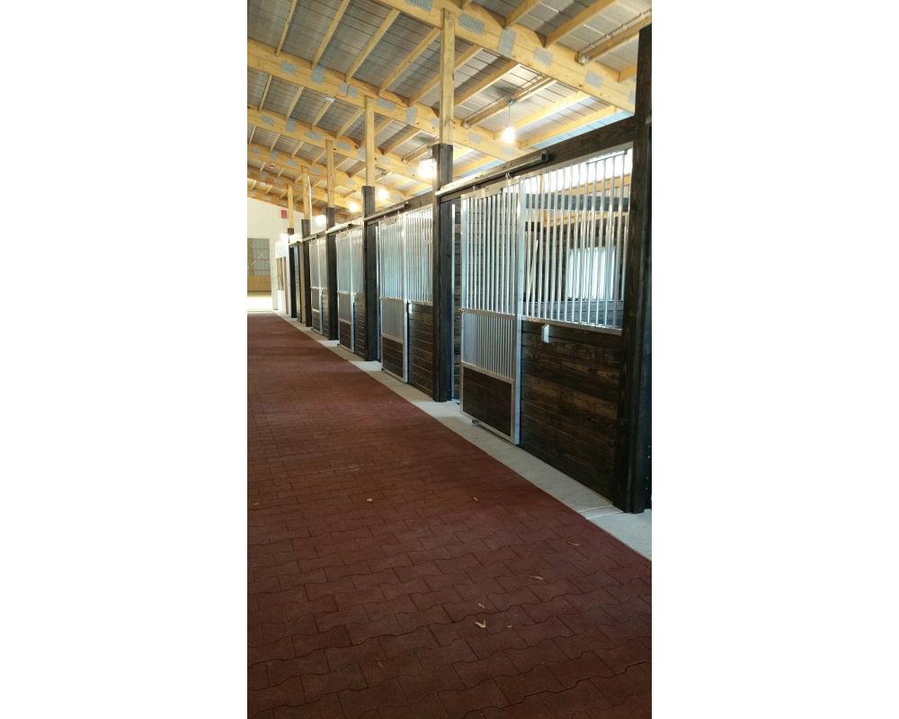 Horse stalls in aisle way of Greystone Riding Academy.