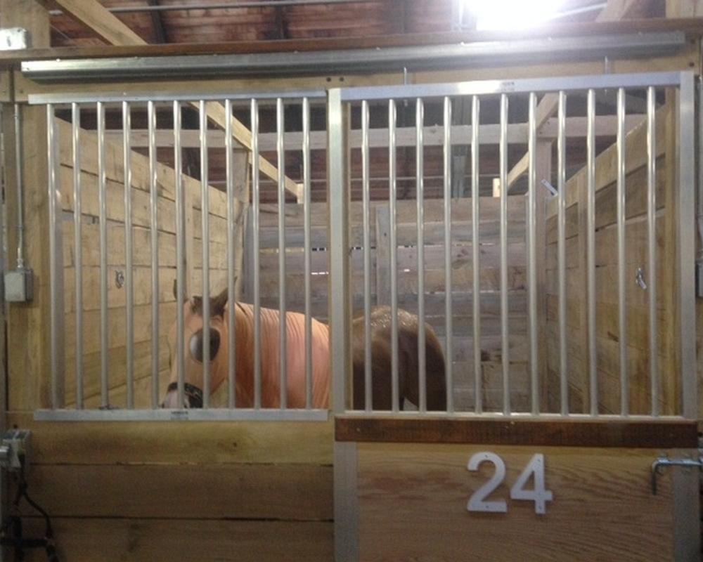 Horses enjoying the newly renovated fairground stalls.