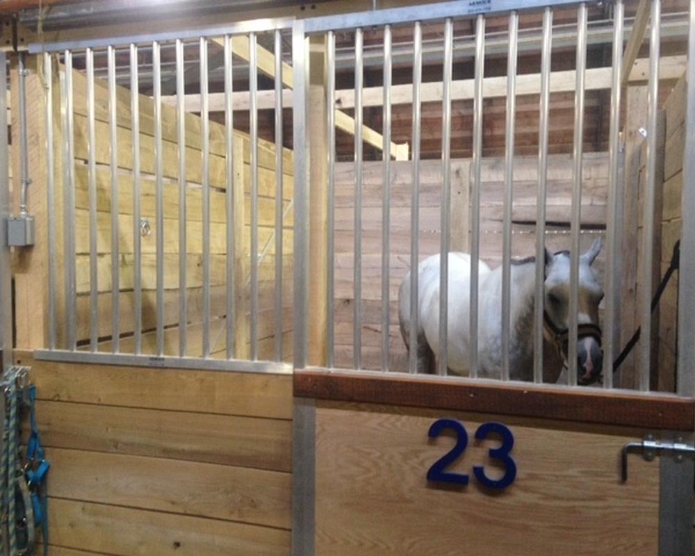 Horse in new stall at NY State Fairground, aluminum sliding stall doors and grills.