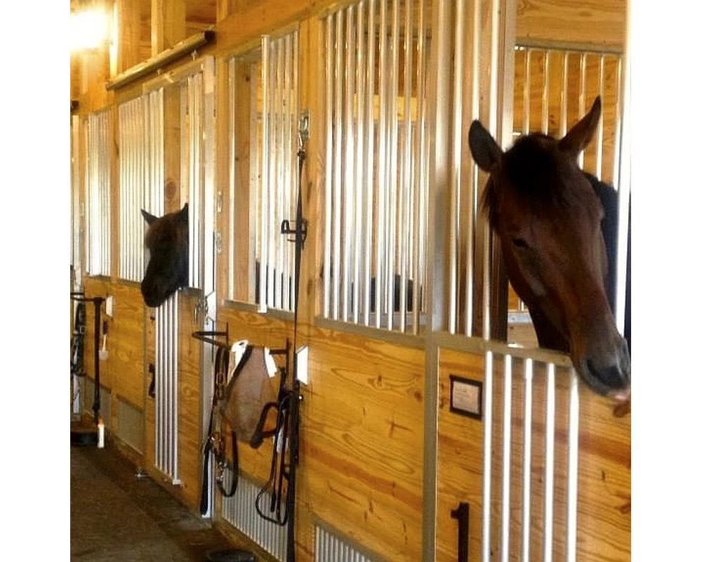 Salmon horse barn with sliding stall doors and stall front grills.