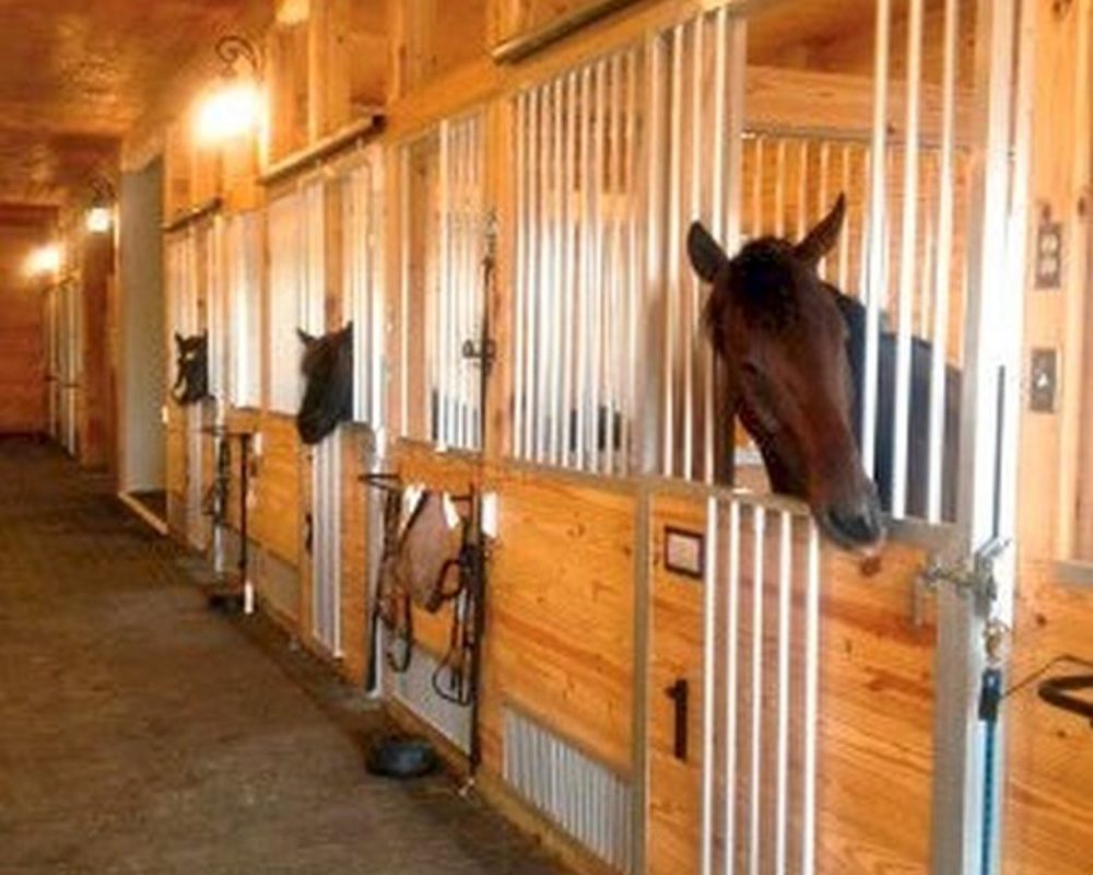 Horse stall front featuring fold down panel in doors and vent panels in front.
