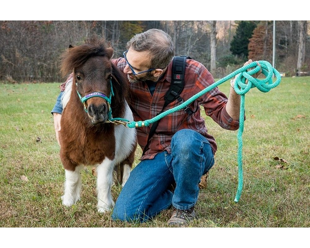 Mini horse Trinket