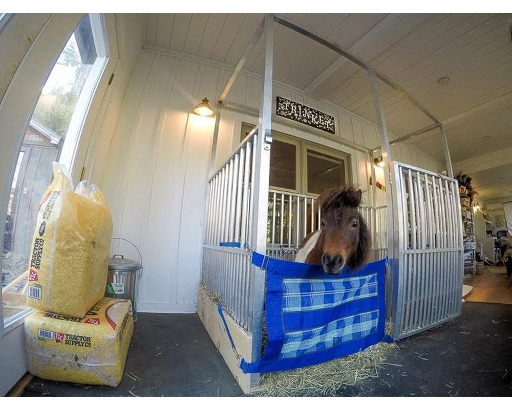 Custom miniature indoor horse stall.