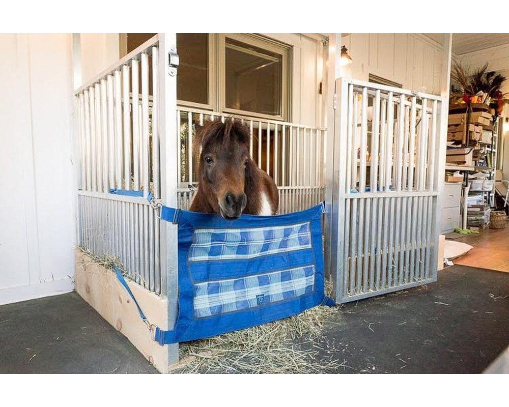 Trinket the mini horse enjoying her new stall.
