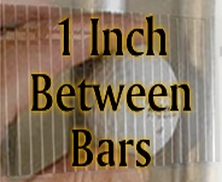 1" Spacing Window Grills