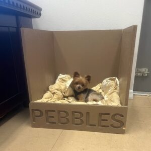 Whelping Boxes
