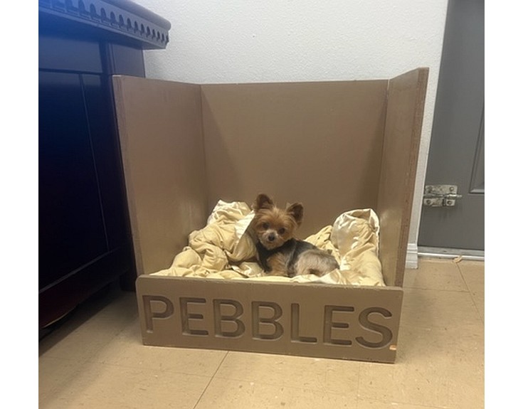 Whelping Box for small breed dogs.