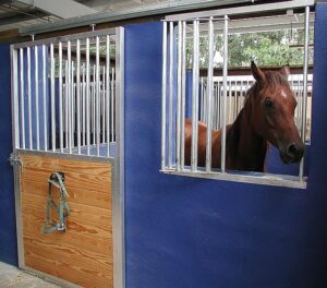 Arabian horse looking through feeder access door.