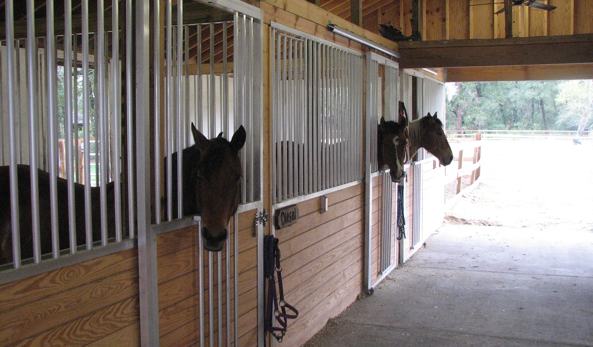 Horses using the fold down top to look through into aisle way.