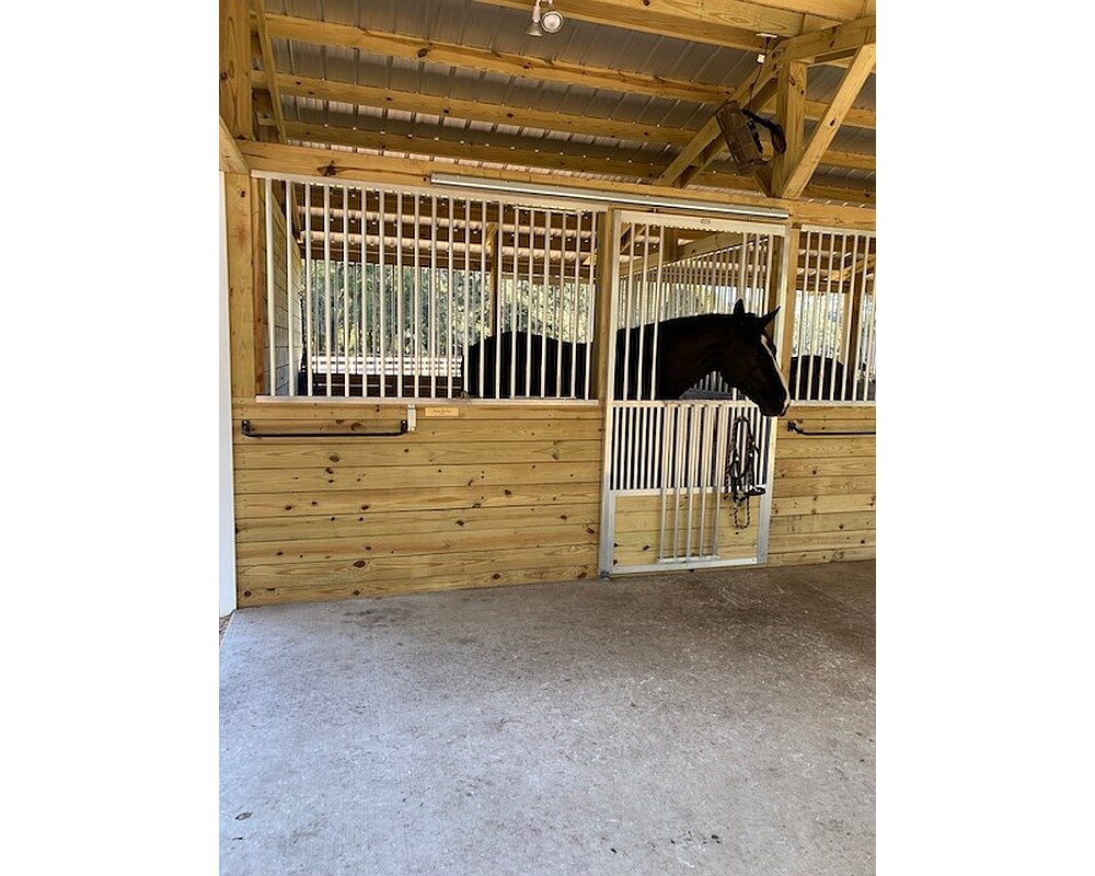Hunt Stable, horse looking through fold down panel top in coolbreeze sliding door with scuff panel.